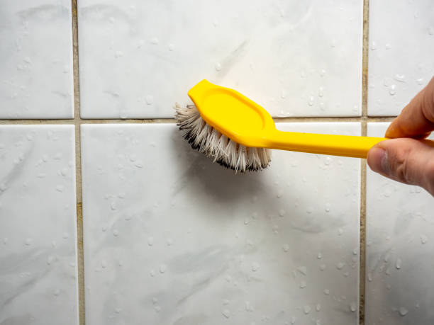 Best Localized Mold Remediation (e.g., coastal areas, humid climates) in Fairland, MD
